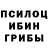 Галлюциногенные грибы прущие грибы Philly Struck