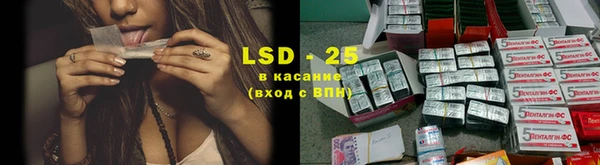 мдпв Новозыбков