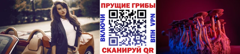 даркнет сайт  Льгов  Галлюциногенные грибы Psilocybine cubensis 